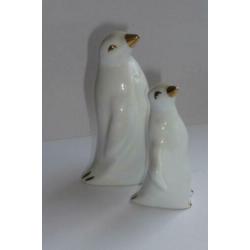 Witte Pinguïn beelden