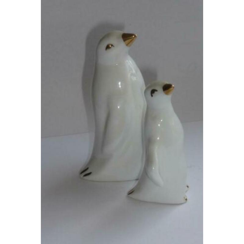 Witte Pinguïn beelden