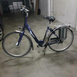 elektrische fiets giant