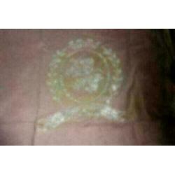 T shirt mt XS stevige bruine stof,met steentjesapplicatie