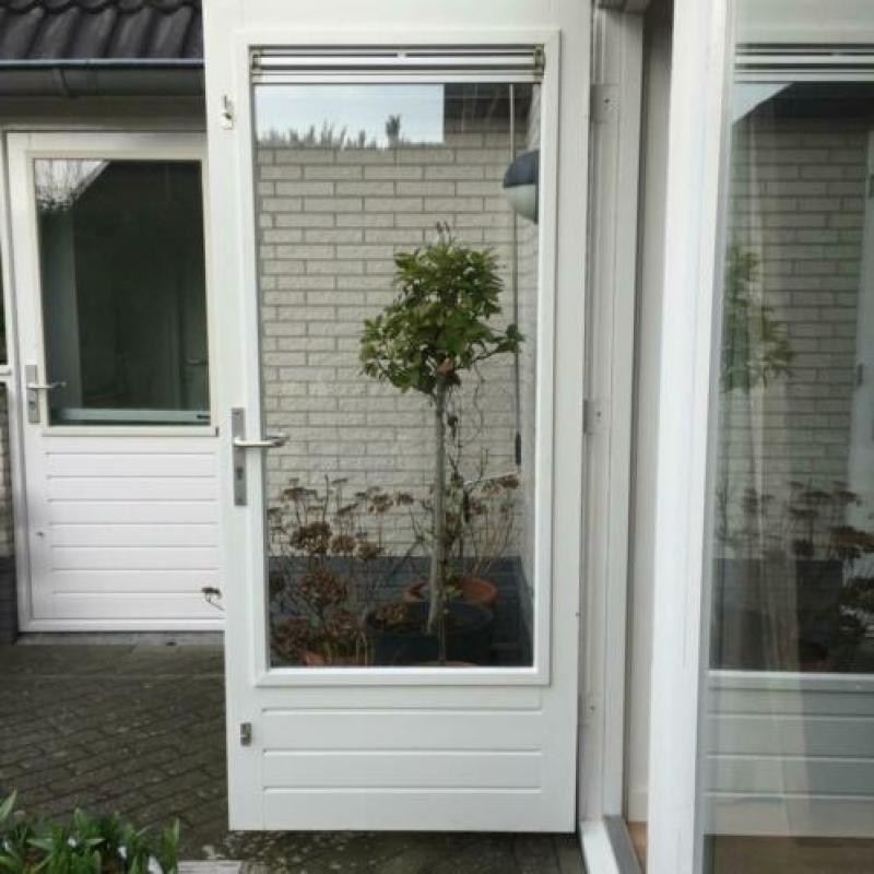 Meranti BUITENDEUR incl. dubbel glas en deurbeslag