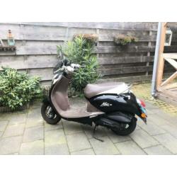 Sym Mio blauw kenteken