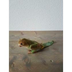 Oude steiff parkiet