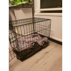 Honden bench 61x43x51