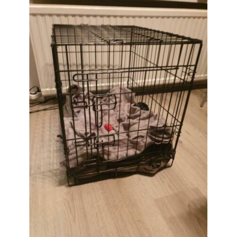 Honden bench 61x43x51