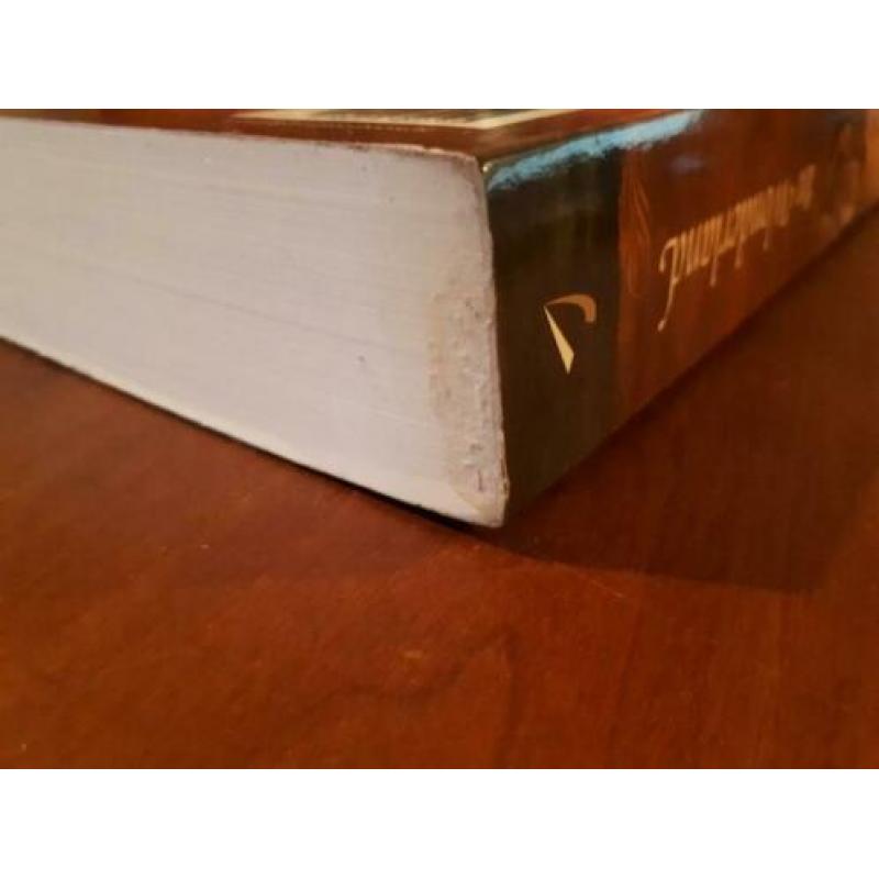 Boek - In Wonderland - Lynn Austin