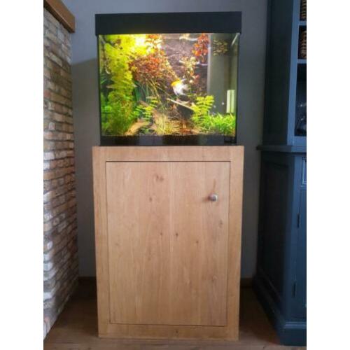 juwel aquarium incl. eiken kast