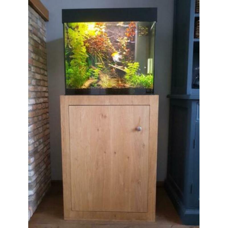 juwel aquarium incl. eiken kast