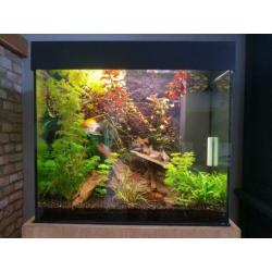 juwel aquarium incl. eiken kast