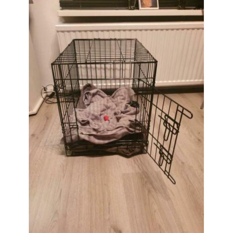 Honden bench 61x43x51