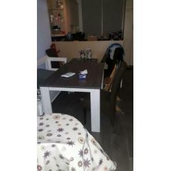 Eettafel en salontafel van Leen bakker lynn