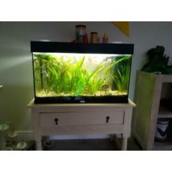 Aquarium compleet