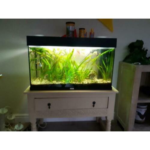 Aquarium compleet