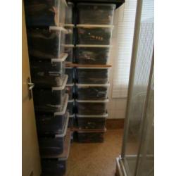 Grote verzameling handschoenen en wanten, 33 boxen.