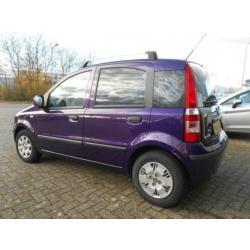 Fiat Panda 1.2 Edizione Cool