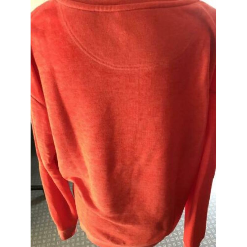Scotch & Soda mt 4