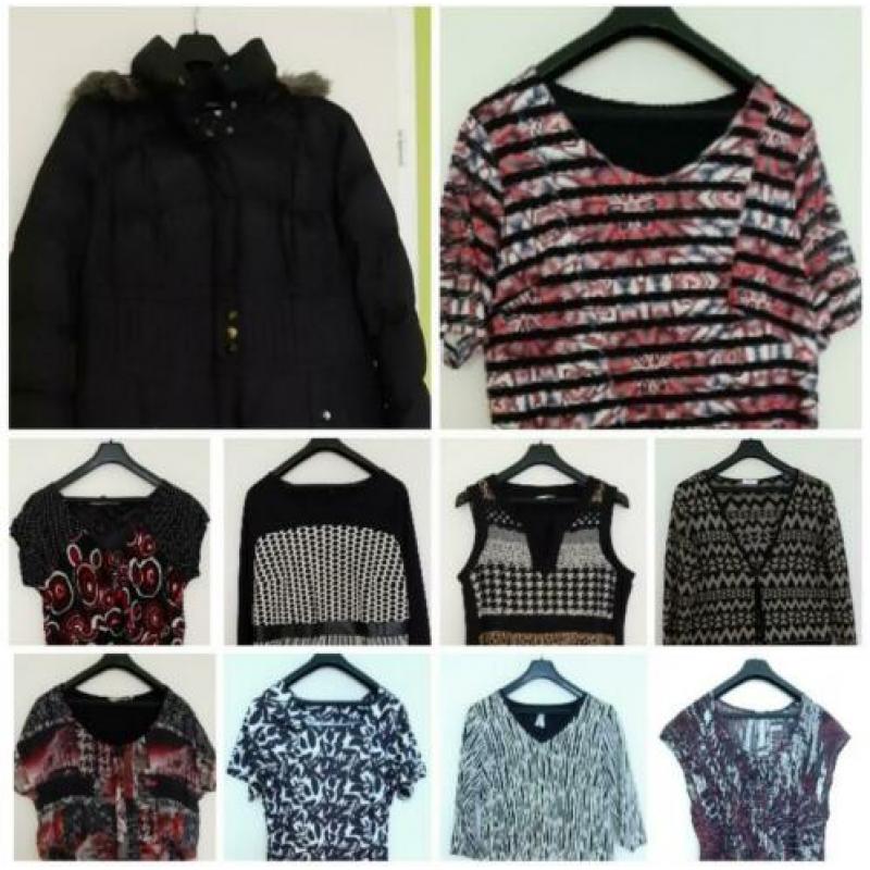 Diverse kleding maat 50 ( draagbaar tot 52)