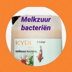 Melkzuurbacteriën herstel koi opstart bacteriën mineralen