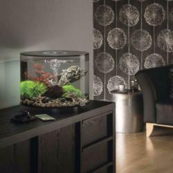 biOrb TUBE | 35 MCR | Zwart