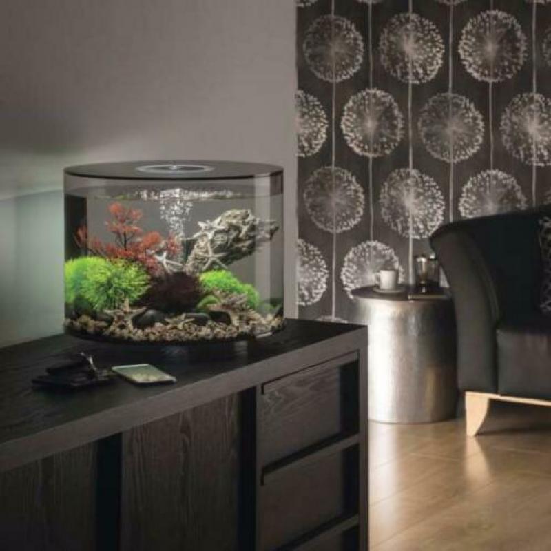 biOrb TUBE | 35 MCR | Zwart
