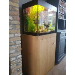 juwel aquarium incl. eiken kast