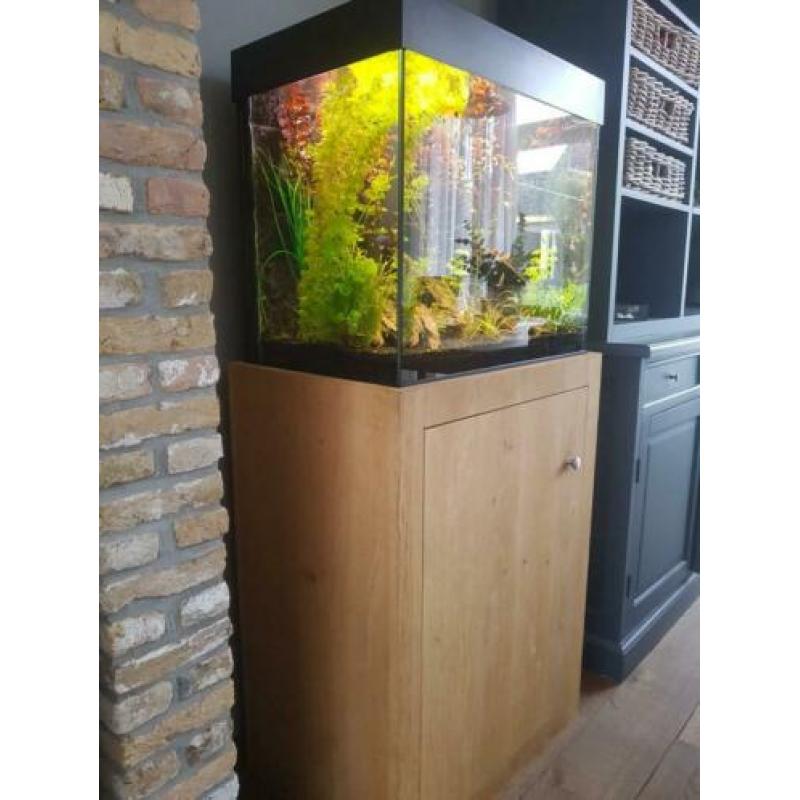 juwel aquarium incl. eiken kast