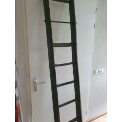Oude ladder.