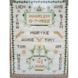 Mooie Merklap Haarlem &Namen 1988 Mooie Lijst 50,5 x 40,5 cm