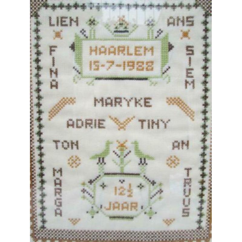 Mooie Merklap Haarlem &Namen 1988 Mooie Lijst 50,5 x 40,5 cm