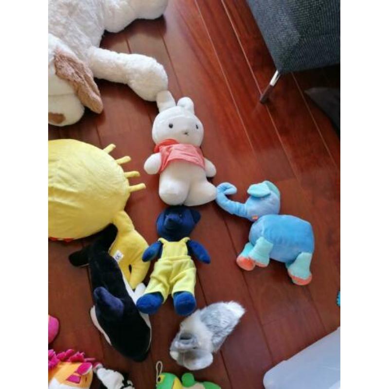 Knuffels Winnie pooh, nijntje