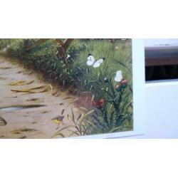 Prachtige natuurkaart "aan de rivier" van M.A.Koekkoek