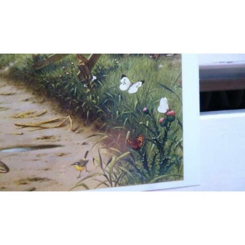 Prachtige natuurkaart "aan de rivier" van M.A.Koekkoek