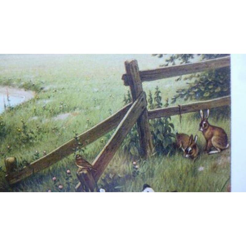 Prachtige natuurkaart "aan de rivier" van M.A.Koekkoek