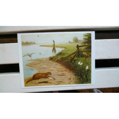Prachtige natuurkaart "aan de rivier" van M.A.Koekkoek