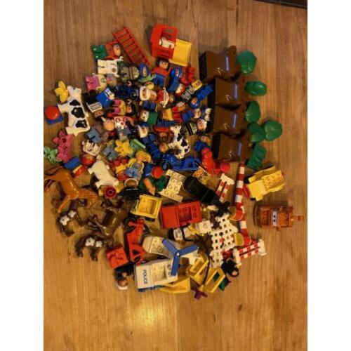 Grote sortering Duplo inclusief trein en treinrails