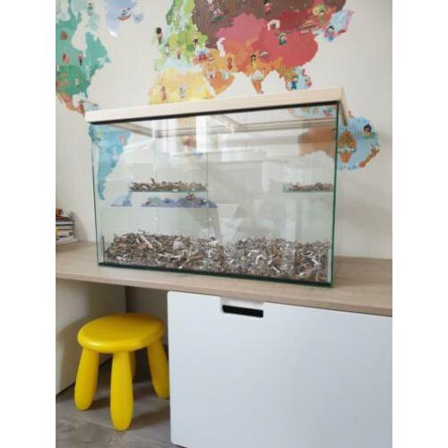 Glazen kooi / terrarium met pasen bezorgd