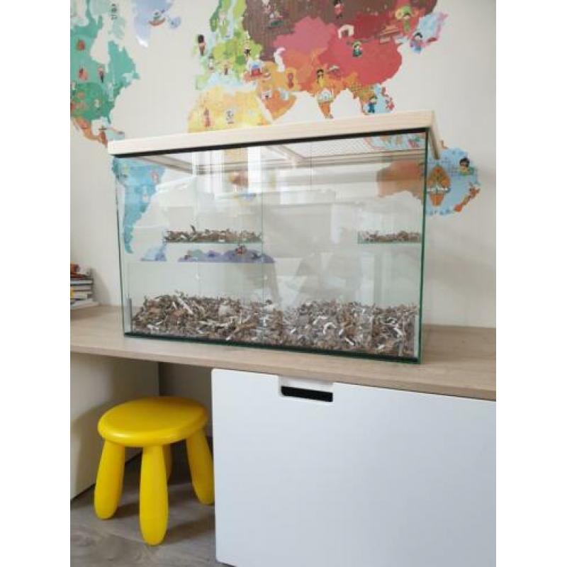 Glazen kooi / terrarium met pasen bezorgd