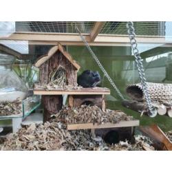 Glazen kooi / terrarium met pasen bezorgd