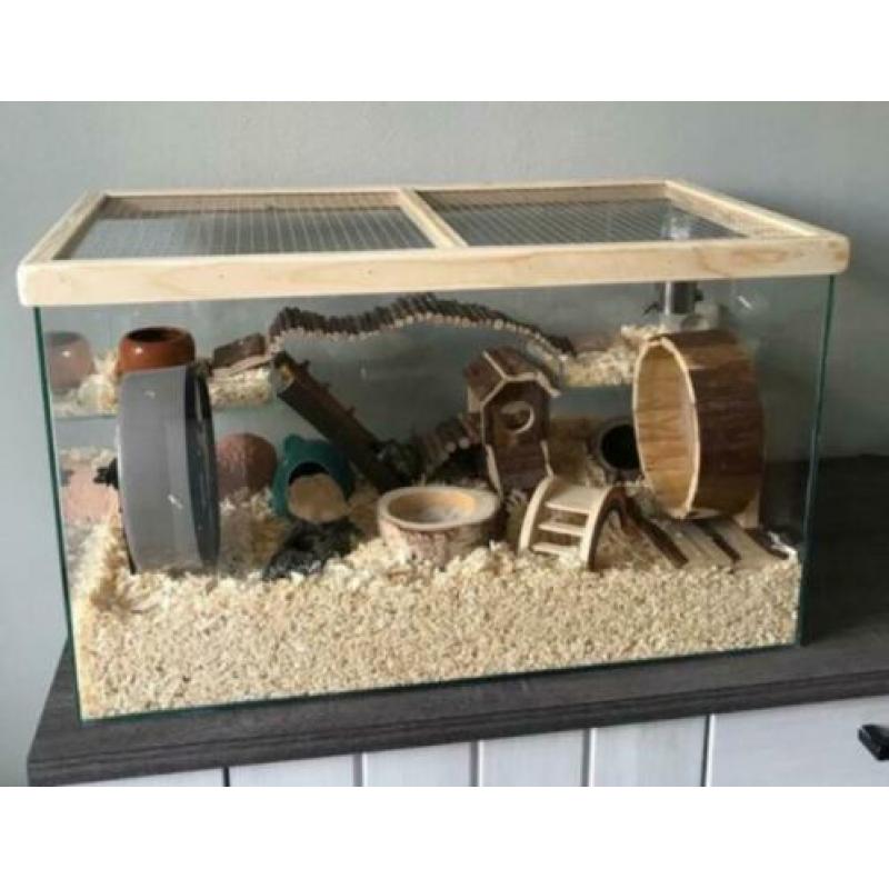 Glazen kooi / terrarium met pasen bezorgd