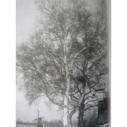 Peter Fraanje Natuurlijk bouwen met hout Jan van Arkel