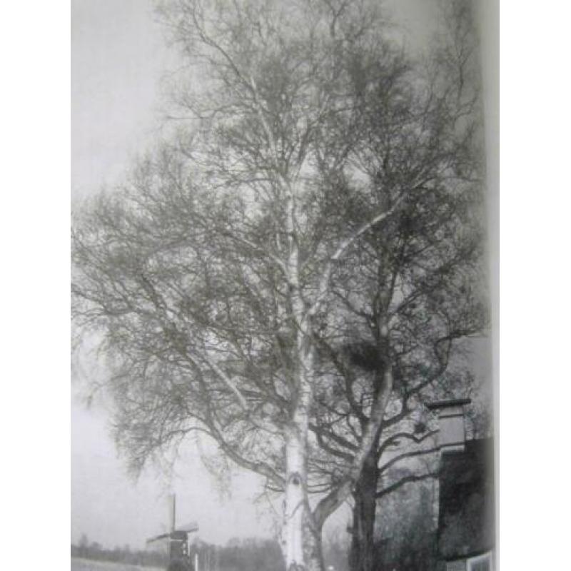 Peter Fraanje Natuurlijk bouwen met hout Jan van Arkel