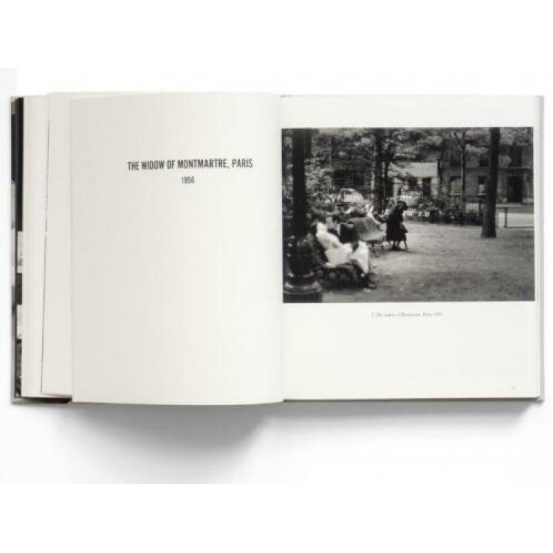 Bruce Davidson - Survey