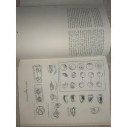 boeken Teken boek Van Adrew Loomis