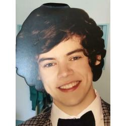 Harry Styles kartonnen uitsnede