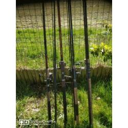 5 feeder a65€ p.st