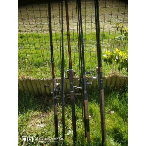 5 feeder a65€ p.st