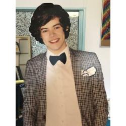 Harry Styles kartonnen uitsnede