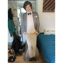 Harry Styles kartonnen uitsnede