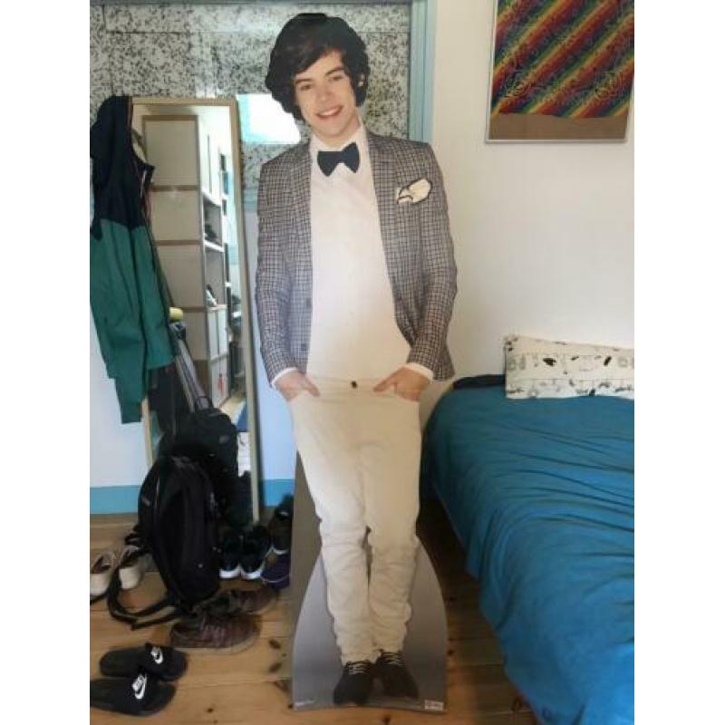 Harry Styles kartonnen uitsnede