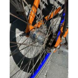 Batavus Snake 24 inch